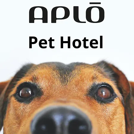 Hotel Aplo - Breakfast Experience-2